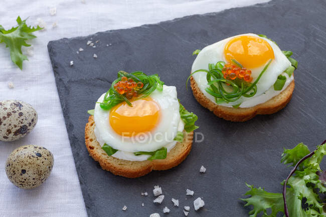 From above of appetizing canapes with crispy bread and fried quail eggs decorated with herbs and caviar served on gray board — Stock Photo