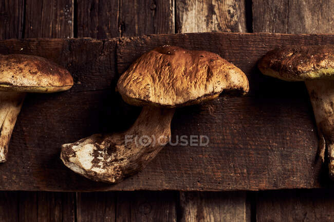 Vista dall'alto dei funghi Boletus edulis tagliati crudi sul tagliere di legno rustico durante il processo di cottura — Foto stock
