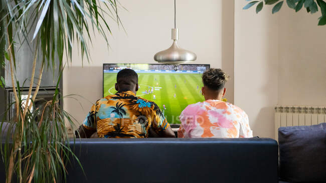 Back view of anonymous multiracial male friends sitting on sofa while playing football videogame on TV in living room with plants — Stock Photo
