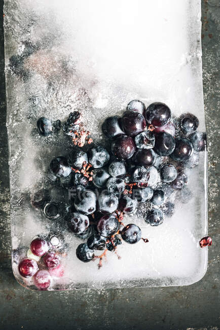 Top view of piece of ice with grapes placed on metal tray at sunlight — Stock Photo