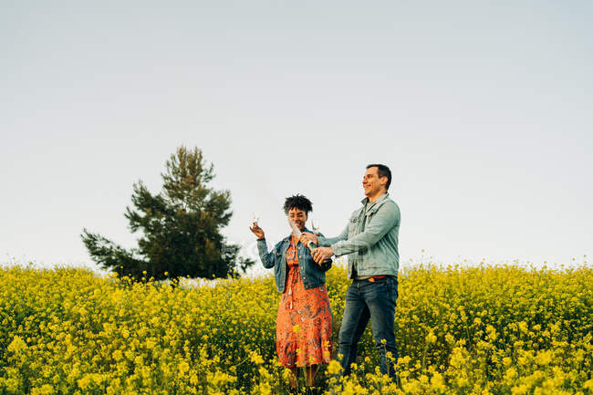 Happy young man in casual clothes opening bottle of champagne during romantic date with cheerful African American girlfriend in blooming meadow in countryside — Stock Photo