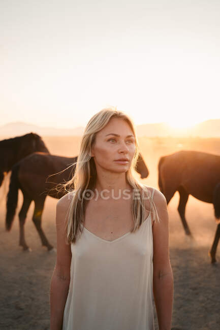 Femme blonde en robe blanche regardant loin avec troupeau de chevaux dans le champ sous le coucher du soleil — Photo de stock
