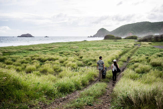 Вид ззаду на невпізнаваних друзів музикантів, які гуляють з гітарами на шляху серед зеленої трави на узбережжі біля океану вдень — стокове фото