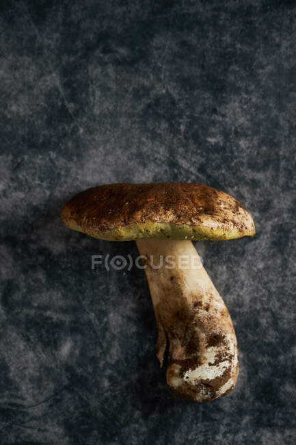 Вид сверху свежего сырого Boletus edulis с толстыми стеллажами и колпачком на мраморном фоне в светлом помещении — стоковое фото