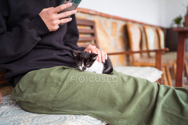 Corte irreconhecível fêmea acariciando bonito gatinho enquanto tomando auto retrato no celular no banco — Fotografia de Stock