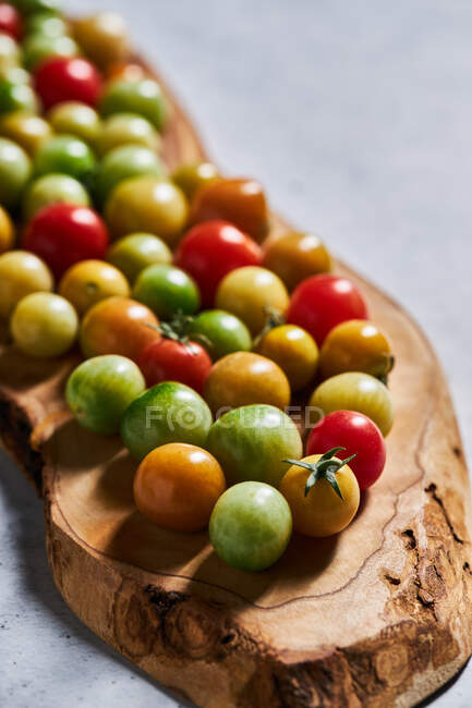 Стерти червоні та неспішні вишневі помідори, зібрані на фермі під час збору врожаю — стокове фото