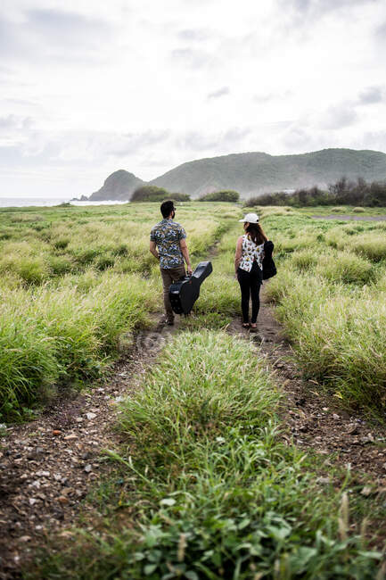 Vista posteriore di amici musicisti irriconoscibili che camminano con chitarre sul sentiero tra erba verde sulla costa vicino all'oceano durante il giorno — Foto stock