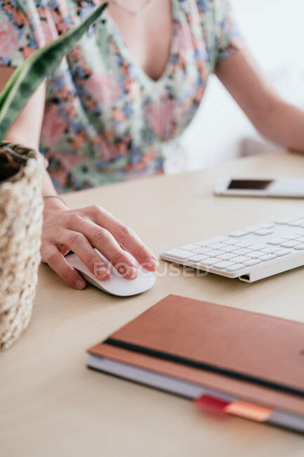 Обрізати анонімного працівника жінки за допомогою миші, сидячи за столом біля комп'ютера в легкому робочому просторі — стокове фото