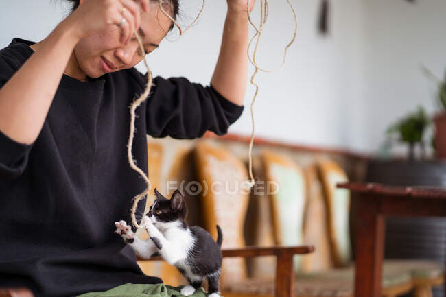Cultivo joven étnica mujer ingenio cuerda jugando con lindo gatito de pie en las piernas traseras en casa - foto de stock