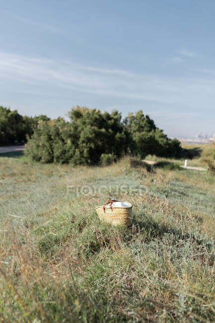 Cesta de mimbre colocada en tierra cubierta de hierba bajo el cielo azul con arbustos verdes en el fondo en el día soleado de verano - foto de stock