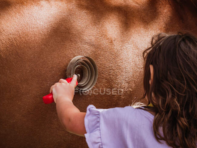 Обратный вид на неузнаваемую девушку, ухаживающую за каштановой лошадью и расчесывающую коричневую гриву — стоковое фото