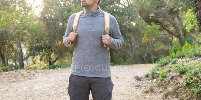 Crop unrecognizable bearded male hiker in casual clothes and backpack standing in green forest on sunny day during trekking — Stock Photo
