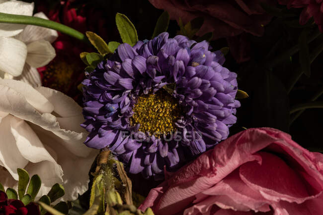 Strauß frischer Blumen mit weißen Lilien Eustoma und Aster in Glasvase bei Sonnenschein — Stockfoto