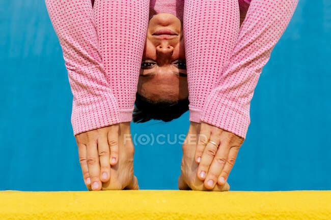 Mujer flexible en ropa deportiva de pie pose de flexión hacia adelante mientras practica la pose de yoga Uttanasana en la pared amarilla y azul - foto de stock