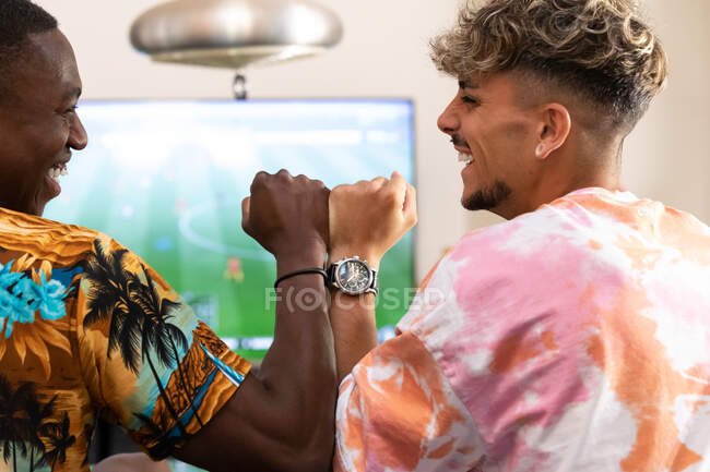 Back view of multiracial male friends sitting on sofa while playing football videogame on TV in living room with plants while bumping fists — Stock Photo