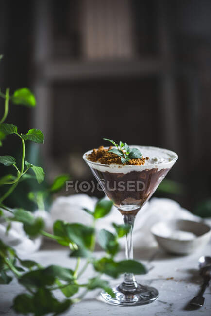Glass of sweet mousse with chocolate and coconut garnished with mint leaves and placed on table with green plants — Stock Photo