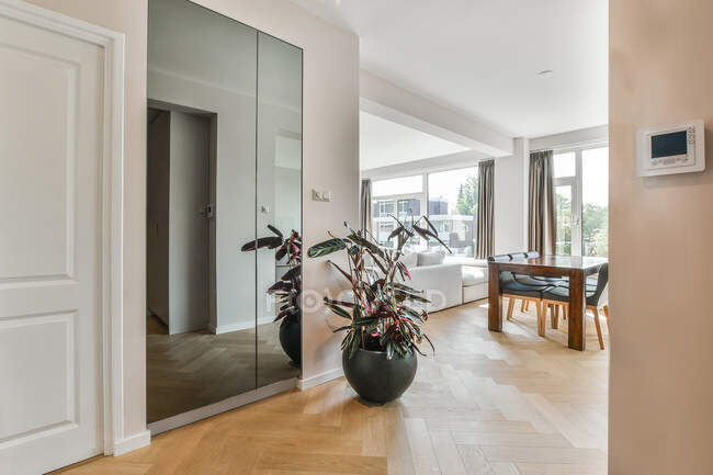 Modernes Wohnzimmerinterieur mit Einbauschrank und Pflanze gegen Tisch mit Stühlen im Haus — Stockfoto