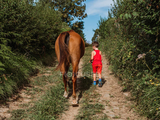 Полный вид на маленького мальчика, пасущего коричневую лошадь на сельской тропинке между пышными зелеными растениями в сельской местности — стоковое фото
