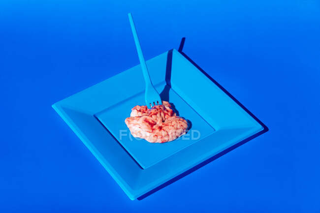 Heap de cérebros crus rosa servido em placa azul com garfo de plástico no fundo azul no estúdio criativo moderno claro — Fotografia de Stock