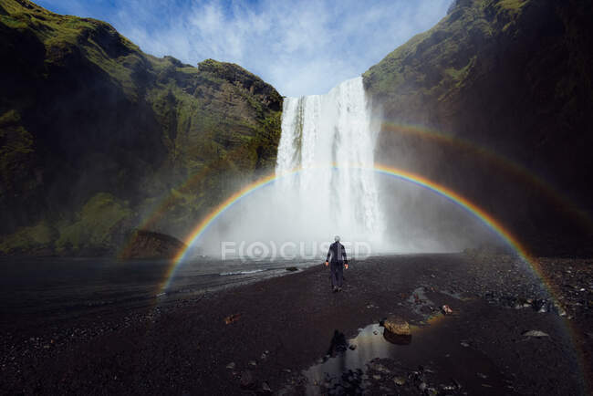 Back view of unrecognizable male hiker in casual clothes walking at riverside under rainbow towards spectacular Skogafoss waterfall flowing through massive rocky cliff covered with green moss — Stock Photo
