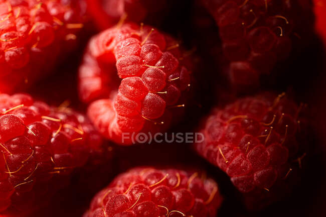 Gros plan de délicieuse framboise rouge mûre douce et fraîche — Photo de stock