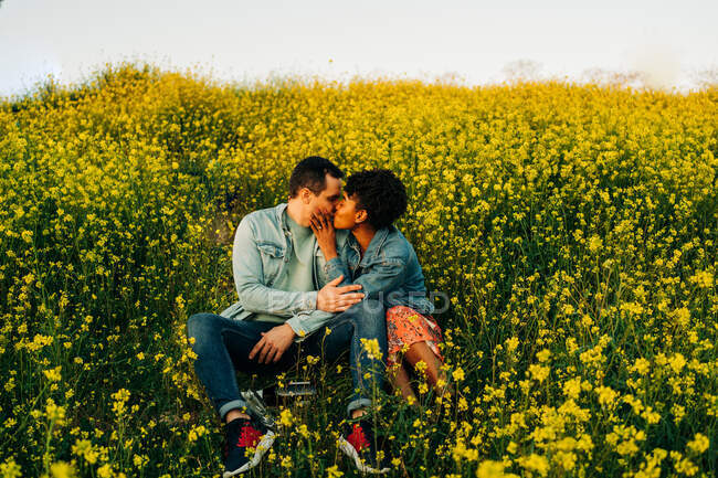 Amar jovem casal multirracial em roupas casuais beijando enquanto sentado no prado florescendo exuberante durante a data romântica no dia ensolarado — Fotografia de Stock