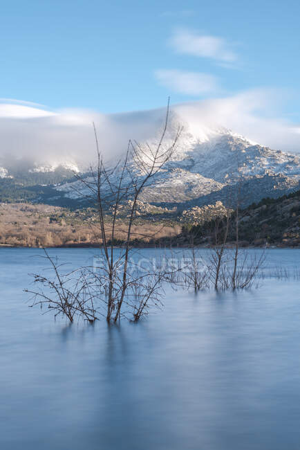 Still water with leafless branches flowing near coast with mountainous area covered with hoarfrost and fog in sunny wild nature — Stock Photo