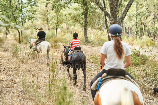 Back view of faceless people in jockey caps and casual clothes sitting in saddle on horses with bridles while riding near trees and plants in forest in daytime — Stock Photo