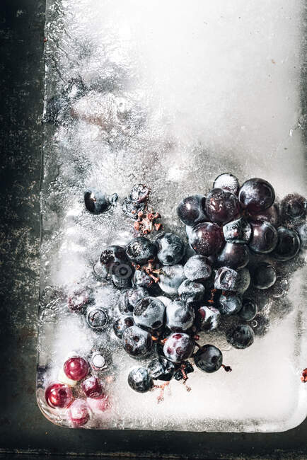 Вид зверху на шматок льоду з виноградом, розміщений на металевому лотку на сонячному світлі — стокове фото
