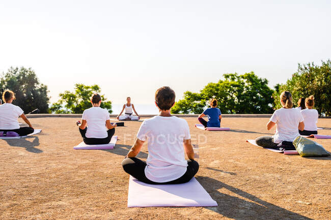 Visão traseira de pessoas irreconhecíveis em roupas esportivas sentadas em tapetes e fazendo Padmasana enquanto pratica ioga no quintal no verão — Fotografia de Stock