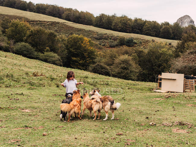 Petite fille mignonne en vêtements décontractés jouant avec divers chiens de race curieux debout sur la pente de colline herbeuse contre le ciel nuageux dans la campagne — Photo de stock