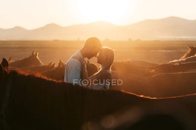 Man embracing tender woman standing close looking at each other among calm horses in hilly countryside in sunset light — Stock Photo