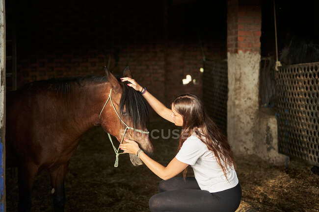Vue latérale de la jeune femme en tenue décontractée caressant cheval brun avec licol dans l'écurie avec foin sec près du mur et clôture en plein jour — Photo de stock
