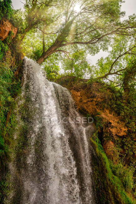 De baixo da cachoeira sob as árvores em um dia ensolarado — Fotografia de Stock