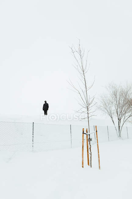 Distant unrecognizable person standing on snowdrift near fence and leafless trees in hazy winter day in Madrid — Stock Photo