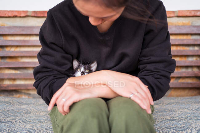 Crop unrecognizable female embracing cute baby cat while sitting on bench in daytime in windy weather — Stock Photo
