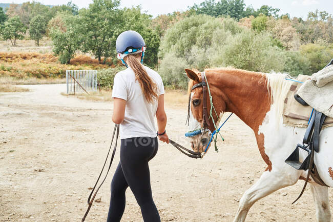 Ireconhecível jovem em roupa casual em pé perto de cavalo marrom com corda de chumbo na mão em dia ensolarado no campo — Fotografia de Stock