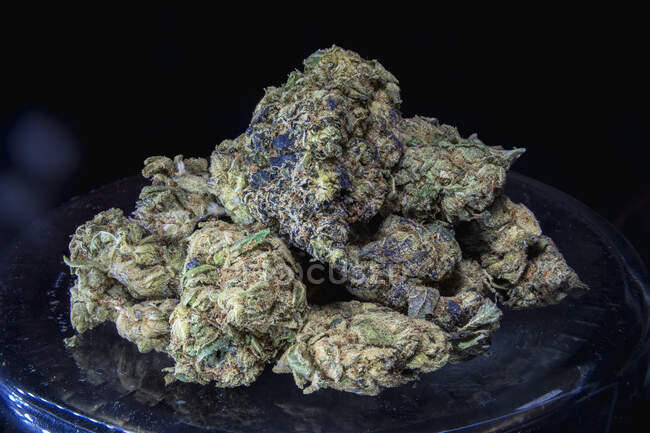 Pile of green hemp stacked and placed on dark blue ceramic plate on dark blurred background — Stock Photo