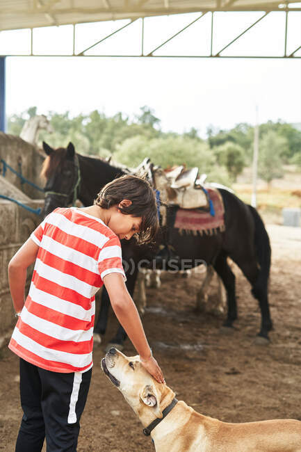 Kid in casual outfit petting cute dog while standing near horses in countryside in daylight — Stock Photo