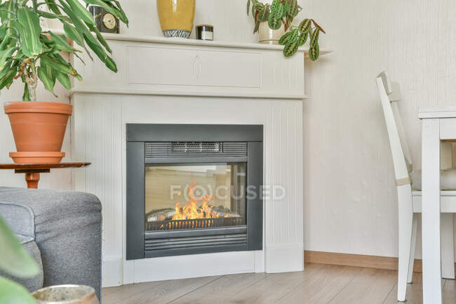 Intérieur du salon avec cheminée électrique décorée de plantes d'intérieur près du canapé et chaise en bois à la table — Photo de stock