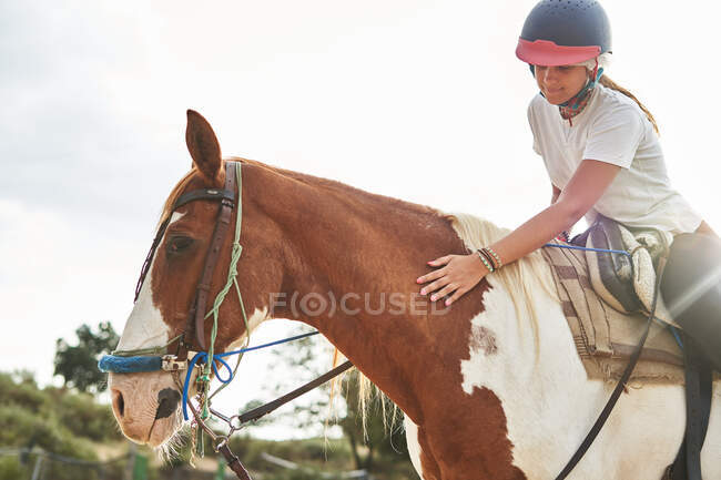 Vista lateral de la chica en casco y atuendo casual sentado en silla de montar acariciando a caballo con brida a la luz del día - foto de stock