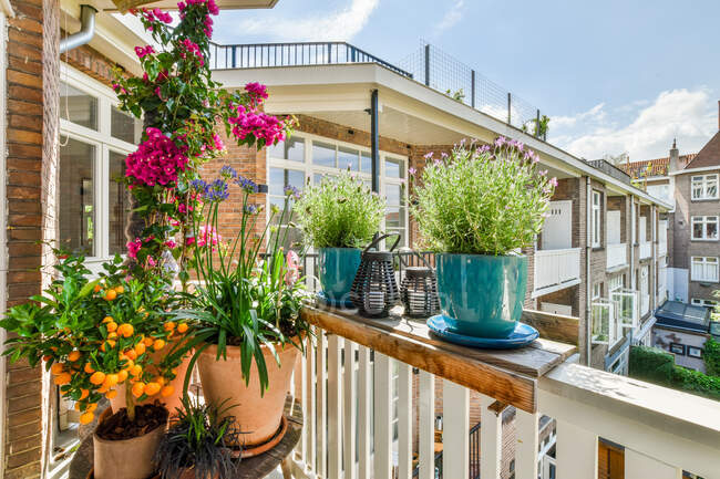 Verschiedene blühende Blumen schmücken an sonnigen Tagen den Balkon eines Wohnhauses in der Stadt vor blauem Himmel — Stockfoto