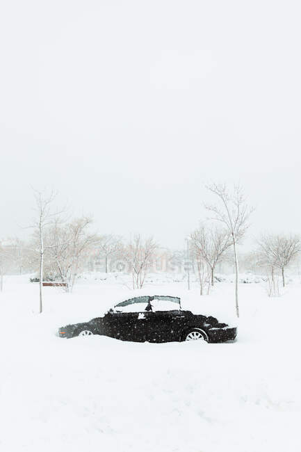 Черный автомобиль под снежным дрейфом среди лиственных деревьев во время снегопада в облачный зимний день в Мадриде — стоковое фото