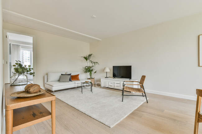 Интерьер светлой гостиной с различной удобной мебелью и телевизором в современной квартире — стоковое фото