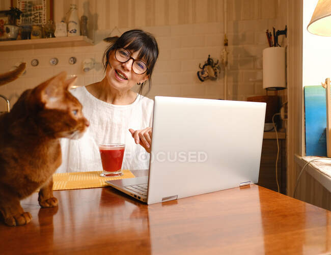 Zarte Besitzerin streichelt Hauskatze aus Abessinien und trinkt frischen Tomatensaft, während sie mit Netbook am Tisch sitzt — Stockfoto