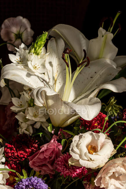 Bouquet of fresh flowers including white lilies eustoma and aster in glass vase at sunshine — Stock Photo