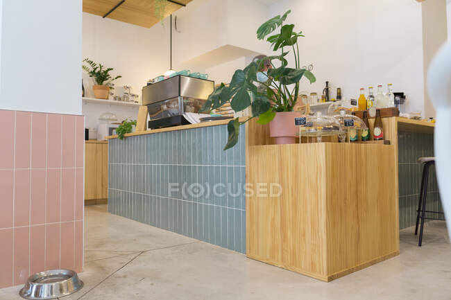 Balcão de madeira com xaropes variados e várias sobremesas doces na casa de café moderna leve com planta verde envasada e copos — Fotografia de Stock