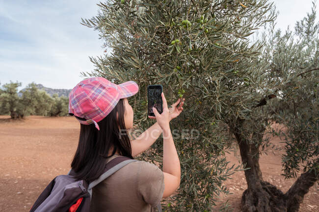 Vista laterale della femmina asiatica in berretto scattare foto di ulivo verde su smartphone moderno mentre in piedi in boschetto — Foto stock