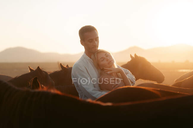 Мужчина обнимает нежную женщину с закрытыми глазами, стоящую рядом среди спокойных лошадей в холмистой сельской местности в лучах заката — стоковое фото