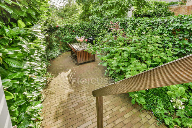 From above of spacious empty backyard with wooden table and chairs planted with green bushes and trees with brick wall on background in bright sunlight on clear day — Stock Photo